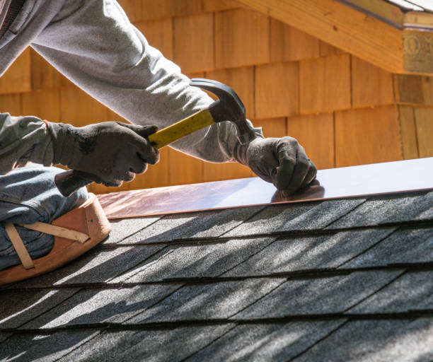 Best Roof Gutter Cleaning  in Presidential Lakes Estates, NJ